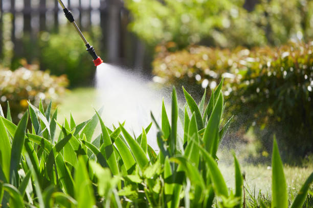 24/7 Emergency Mosquito Control experts in Staten Island, NY