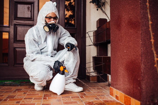 Reliable Mosquito Control contractor in Staten Island, NY by Show Me Pest Control