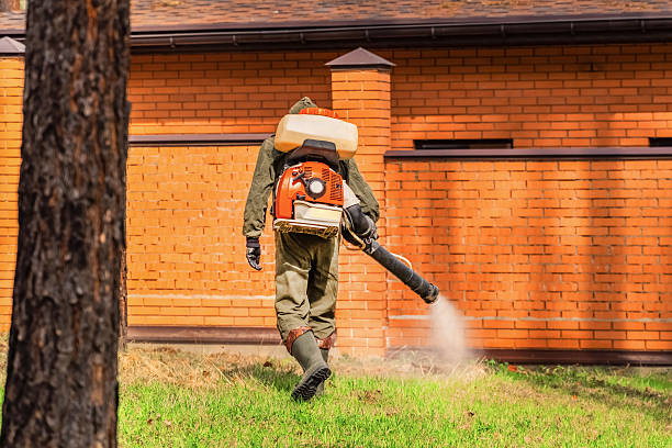 Top rated local Mosquito Control specialists in Staten Island, NY